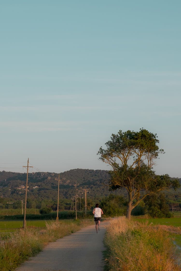 madera carretera amanecer paisaje