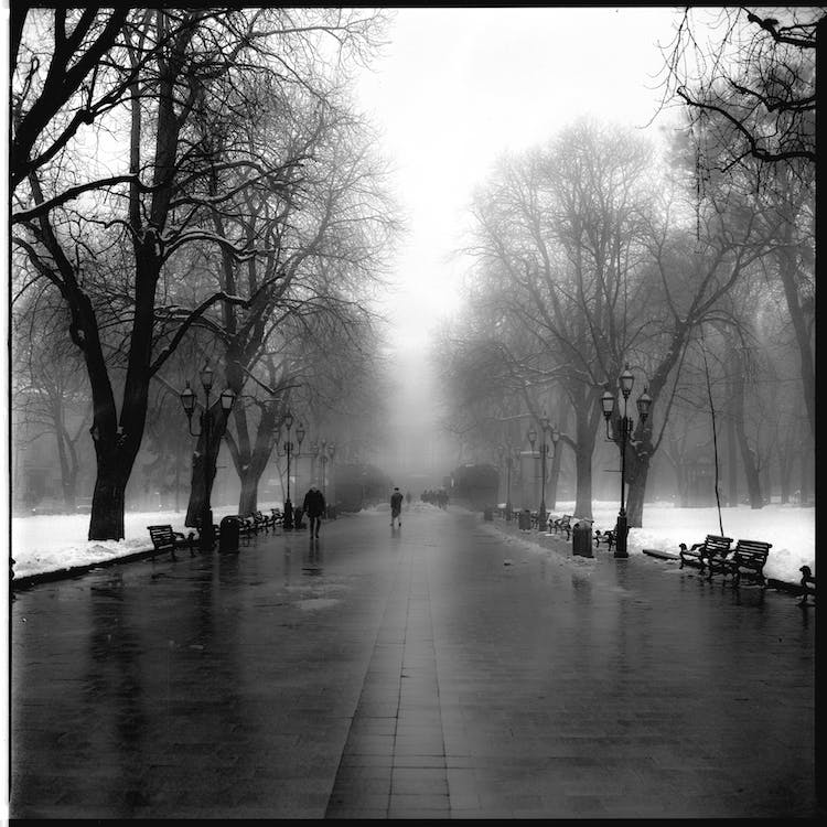 foto monocromatica de misty road