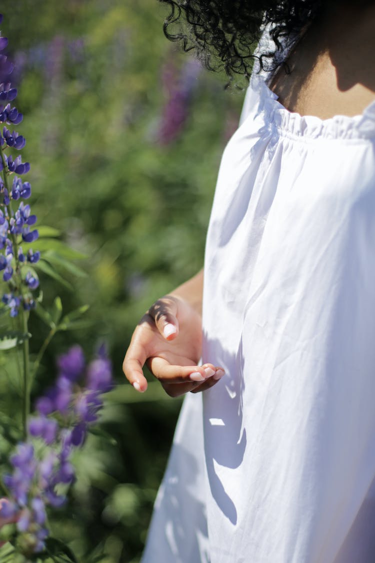 naturaleza manos campo flores