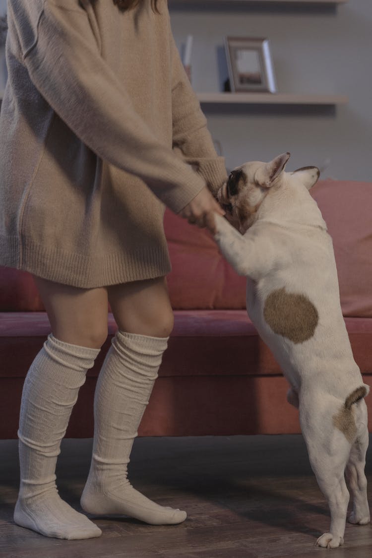 mujer perro mascota bailando