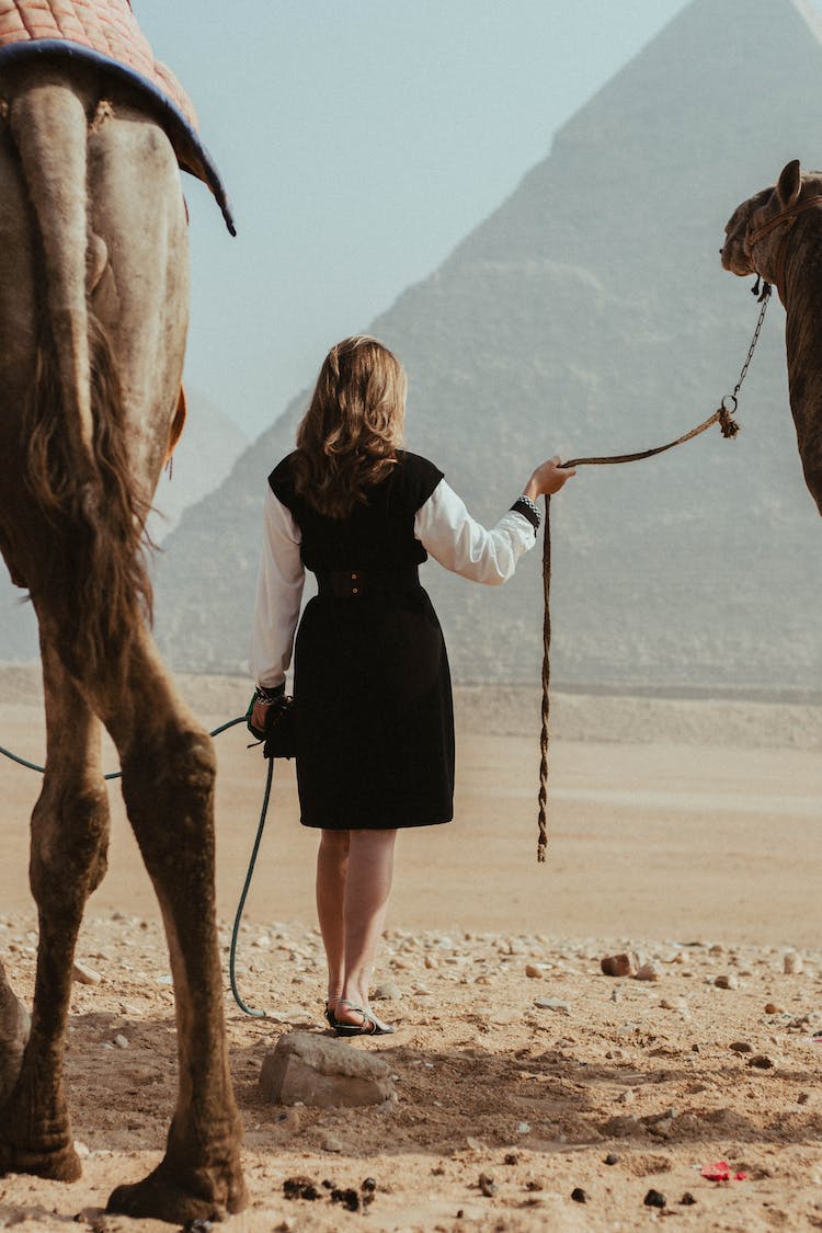 mujer en vestido negro de manga larga de pie junto a caballo marron