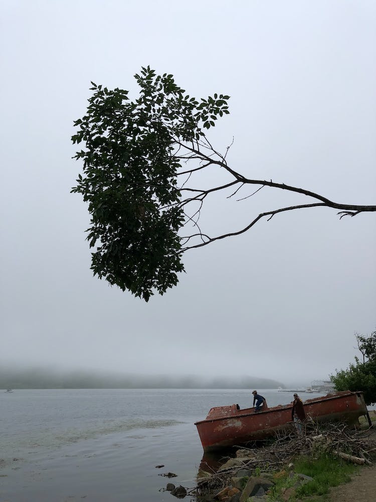 barca lago arbol embarcacion