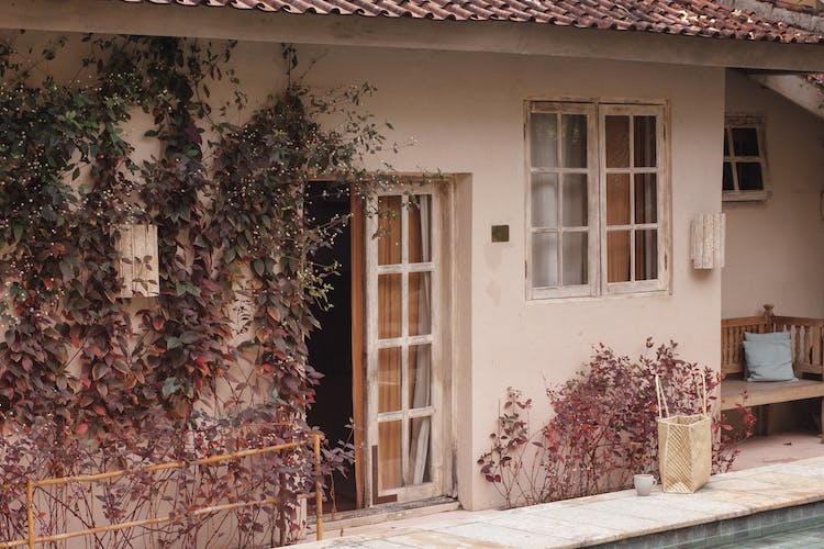 casa vaso ventanas entrada