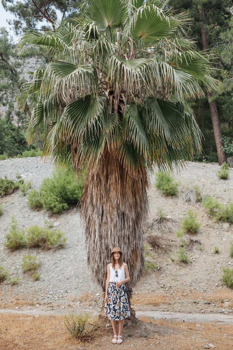 naturaleza mujer en pie viaje