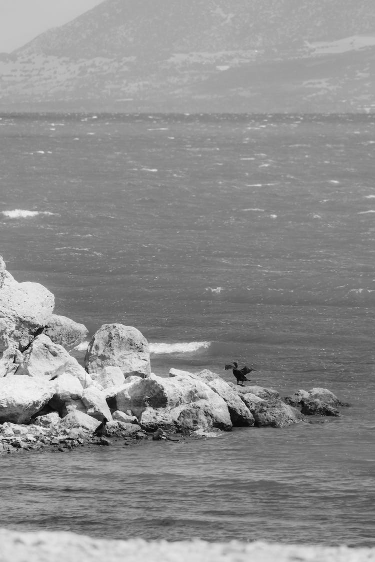 mar blanco y negro paisaje montanas