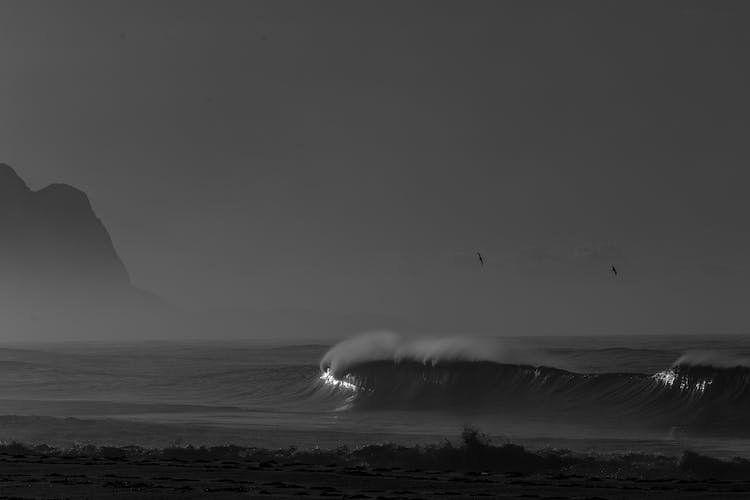 mar blanco y negro oceano olas