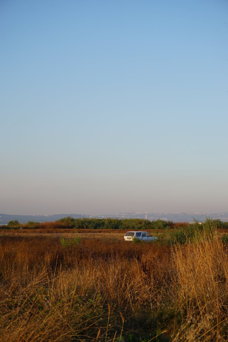 naturaleza campo hierba medio ambiente