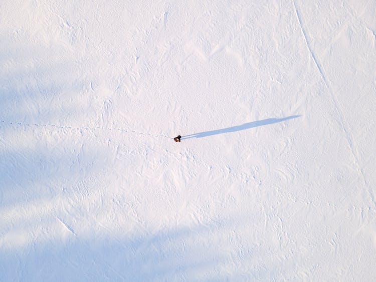 nieve campo invierno cubierto de nieve