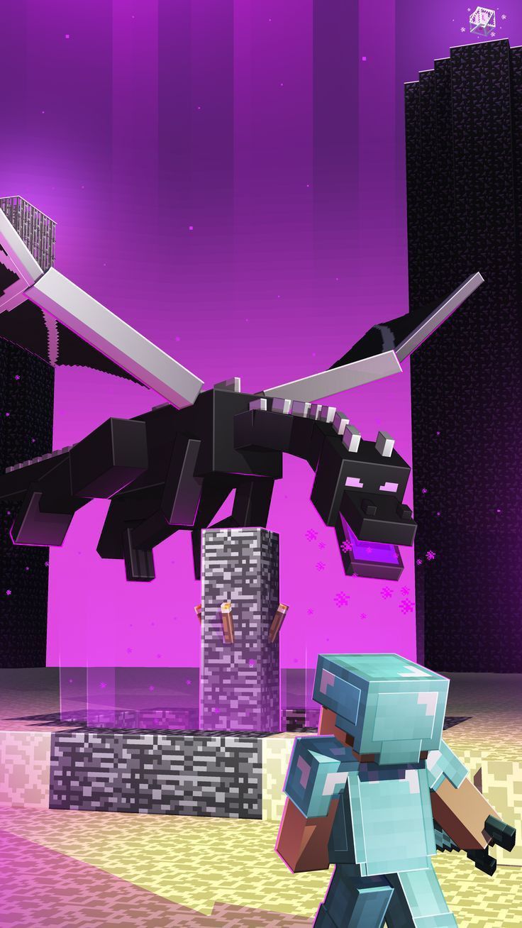 Minecraft pelea contra dragon negro